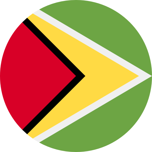 guyana Flag
